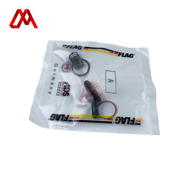 Buy Truck Hand Fuel Pump Spring Repair Kit  BM1104-G001-01 at wholesale prices