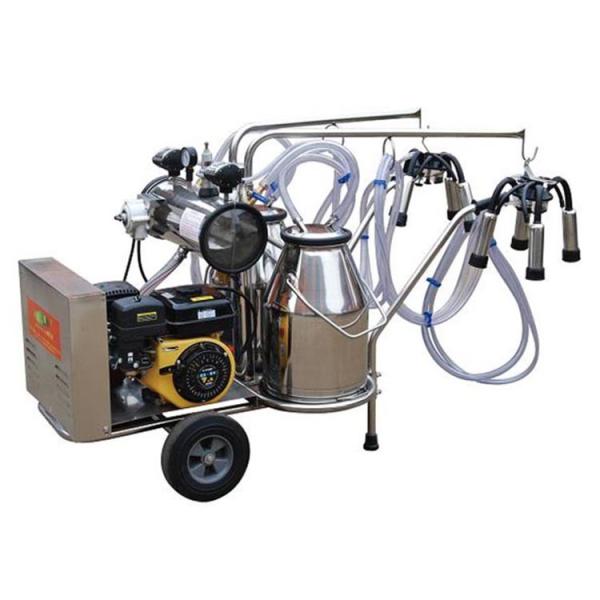 Buy Dairy Farms 110V Portable Milking Machine With Vacuum Pump at wholesale prices