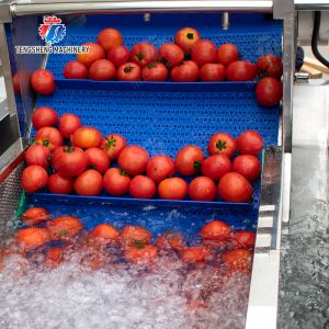 Leaves Leafy vegetables Cabbage varieties Herbs Fruiting vegetables Vegetables