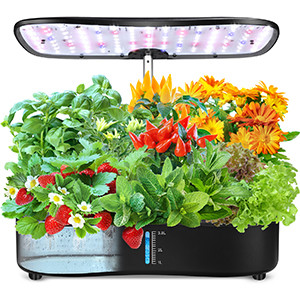 Buy 24W Hydroponics Small Garden Herbs Growing System 12 pods Leaf Green Plants Smart Garden Seedling 3.8L at wholesale prices