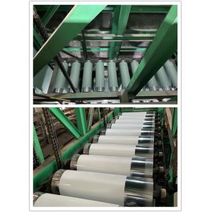 PPGI PPGL 0.47*1220M Coils Color Coated Steel Coil Ral9002 White Galvanized