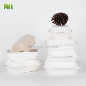 Hot disposable microwave food containers Bagasse pulp food boxes takeaway