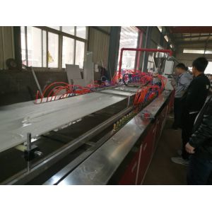High Performance 250mm Width PVC WPC Wall Panel Extrusion Machine