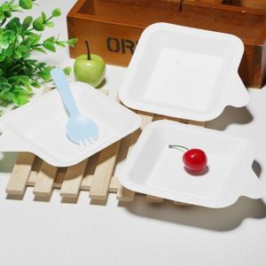 5 Inch 5.5g Disposable Sugarcane Bagasse Plates