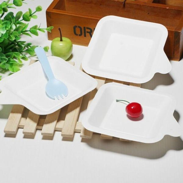 5 Inch 5.5g Disposable Sugarcane Bagasse Plates
