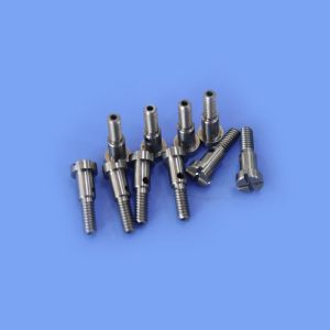 HRA92 Tungsten Carbide Processing Carbide Screws for Extreme Conditions