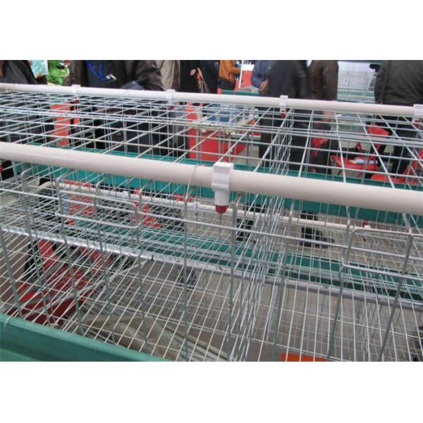Buy Stepped H Type Layer Cage 490mpa / Chicken Egg Layer Cages 56cm width at wholesale prices