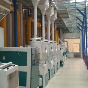 100-120TPD Complete Sets Of Rice Milling Plant