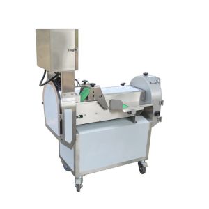 Low Cost Cutting Vegetable Washing Machine With CE Certificate