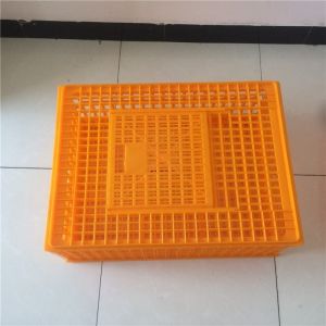 Broiler Poultry Carrier Crate Farming Plastic Agricultural Crates