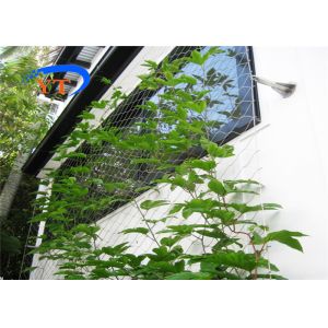 Quality SUS304 Stainless Steel Wire Rope Woven Mesh 2.0mm Customizable Width for sale