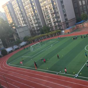 Waterproof 13mm Synthetic Rubber Flooring Outdoor Running Track Red Blue Green