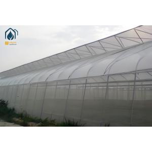 Commercial Tunnel Multi Span Greenhouse High Yield Cultivation Greenhouse