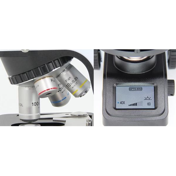 A12.1030-B Laboratory Binocular Compound Light Microscope 100x