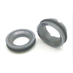 160B 55mm APV Pump Seal