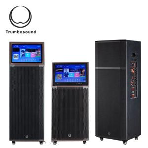 Bluetooth Multifunction Mobile Speaker 15 Inch Two Way Loudspeaker Wifi