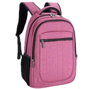 Customized Large Capacity College School Student Laptop Backpack