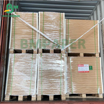Coated food board 250gsm 420 Microns Roll Freezer Paper Single Side Coated For Food Packaging