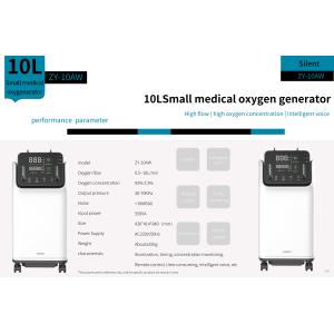 Dual Flow 10lmp Medical Oxygen Concentrator 10 Liter