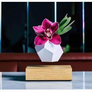 white pot magnetic levitation air bonsai, floating display plant pot tree