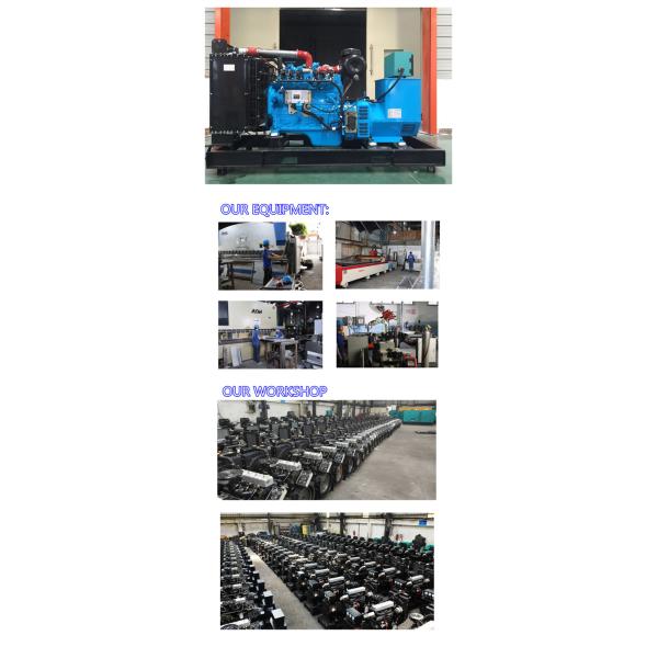 Cummins 250KW 380V 3 Phase Natural Gas Generator