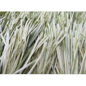 Quality Oliver Green Bicolor Thiolon Outdoor Football Fake Turf Grass for sale