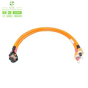 CTS Industrial Wiring Harness for Motorcycle Auto Electric Vehicle High Voltage