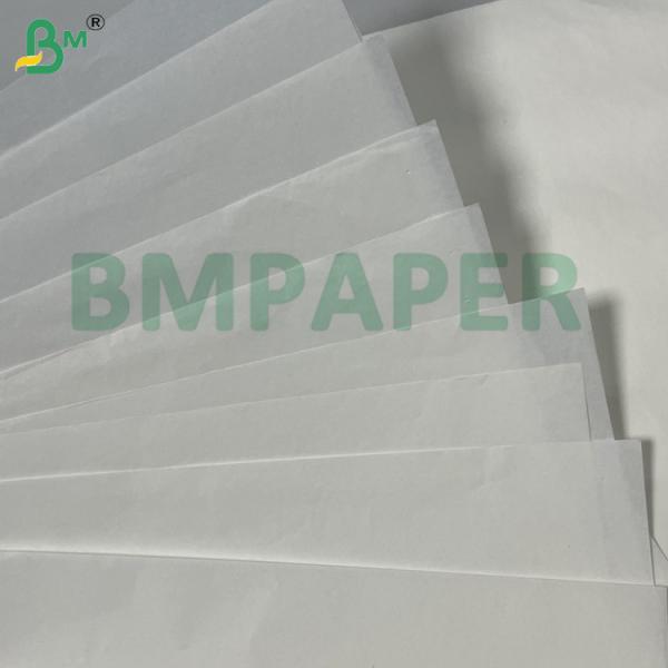 38gsm 100% Biodegradable 1050mm Grease Resistance White Pelleaglio Paper For Food Wrapping 38gsm 100% Biodegradable 1050mm Grease Resistance White Pelleaglio Paper For Food Wrapping