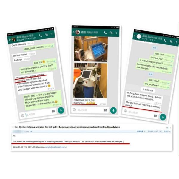 4 big handles Great weight loss-15 ~5Celsuis degree machine cryolipolysis