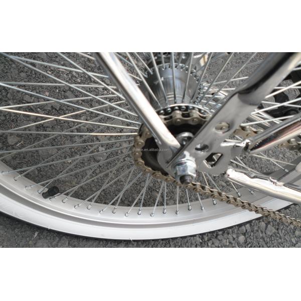 CE Certified 20" Sliver CP Steel Frame Coaster Brake Beach Cruiser Lowrider Bicycle