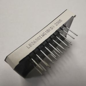 High Brightness White /Pure Green Dual Line 7 Segment LED Display Common Anode