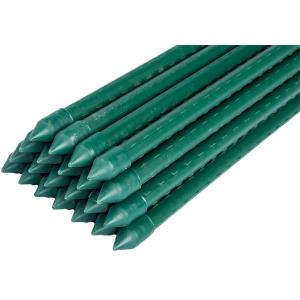 Shrubs 180cm 11mm Green Cane Garden Sticks For Plants