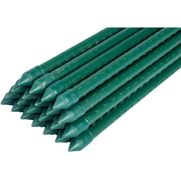 Buy Shrubs 180cm 11mm Green Cane Garden Sticks For Plants at wholesale prices