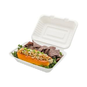 EN13432 9×6 Inch Natural Bio Food Packaging Boxes