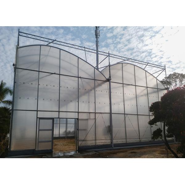 High Roof Plastic Uv Greenhouse With Natural Ventilation For Rainy Climates