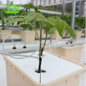 Industrial Greenhouse Hydroponic Vegetable Growing System with 11 liters Volume
