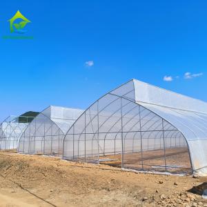 Single-Span Sawtooth Design Tropical Plastic Film Greenhouse Tunnel Customized