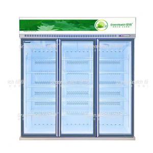Frequency Conversion Commercial Beverage Cooler Store Glass Display Drinks