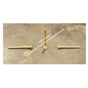 Copper Guide Bolt For Air Pipe Head No.533HFB-250A & CopGuide For Air Vent Head No.533HFB-250A Material: Stainless Steel