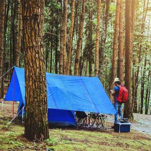 Multifunction Durable Waterproof Custom Roll Pe Tarpaulin Fabric with Coated