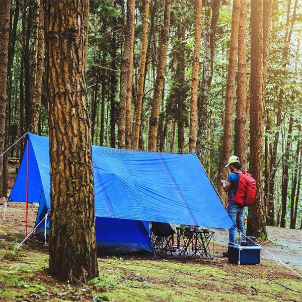 Buy LDPE Coating Tarpaulin Cover 250G for Heavy Duty Camping Ground Sheet Waterproof at wholesale prices