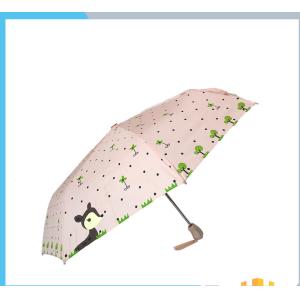 Full Printed Custom Automatic Folding Umbrella For Women With Plastic Handle