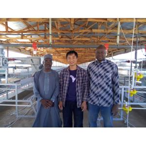 Free Design Provide Layer Chicken Cage Cold Dip Galvanized