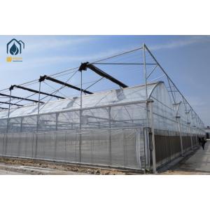 Modern Multispan Greenhouse Flower Growing With Automatic Control System