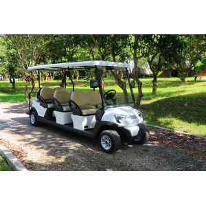 Safe & Comfortable Electric Golf Cart 6 Seats & 2 Rear for 8 Passengers High