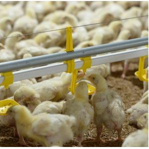 China 100mm Chicken Nipple Drinker System on sale