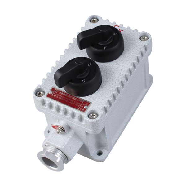 Exde IICT6 Gb Certified Explosion-proof Control Station BXT Series for Hazardous