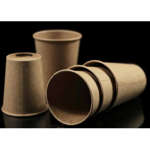 Natural Compostable Logo Printing Thick Takeaway Coffee Cups Environment