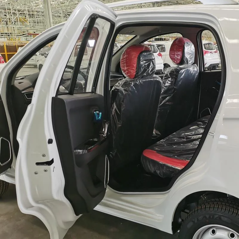 Raysince factory hot sales model 5 door electric car adult vehicle 4 Seats electric vehicles for sale