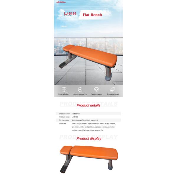 Bold Tube Gym Flat Weight Lifting Dumbbell Bench Equipment